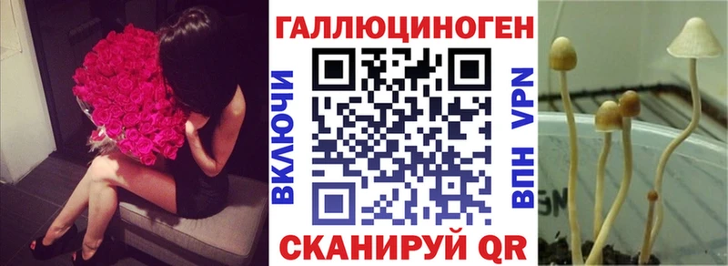 MEGA tor  Магнитогорск  Псилоцибиновые грибы прущие грибы 